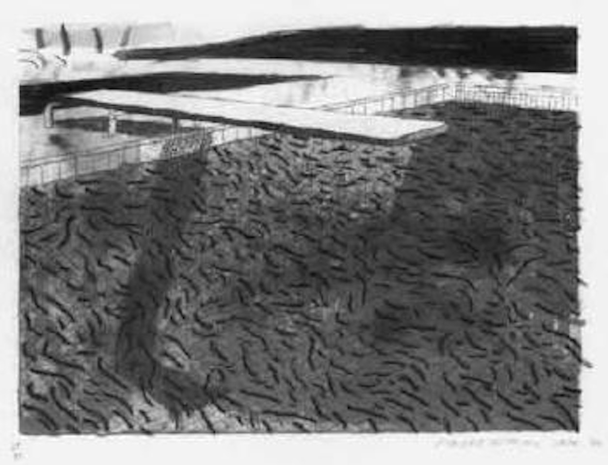 Water made thick and thin by David Hockney