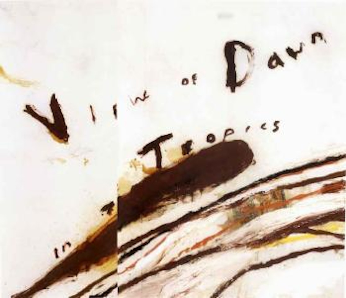 View of dawn in the tropics by Julian Schnabel