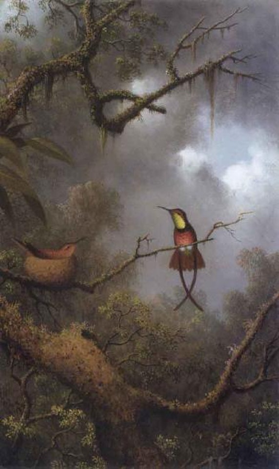 Crimson topaz hummingbirds nesting in a tropical forest by Martin Johnson Heade