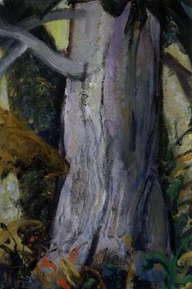 Forest giant, Vancouver island by Arthur Lismer