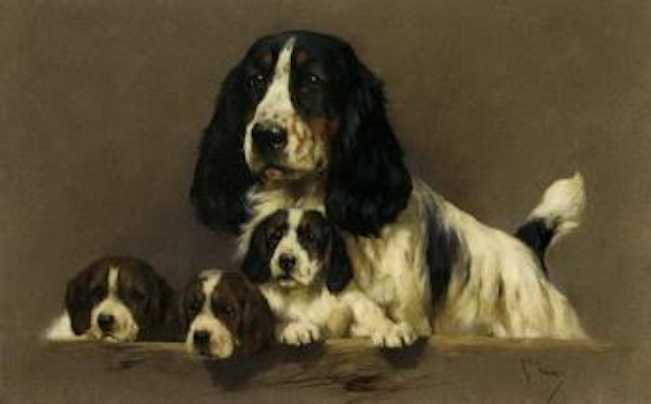 Cocker spaniel with puppies by Arthur Wardle