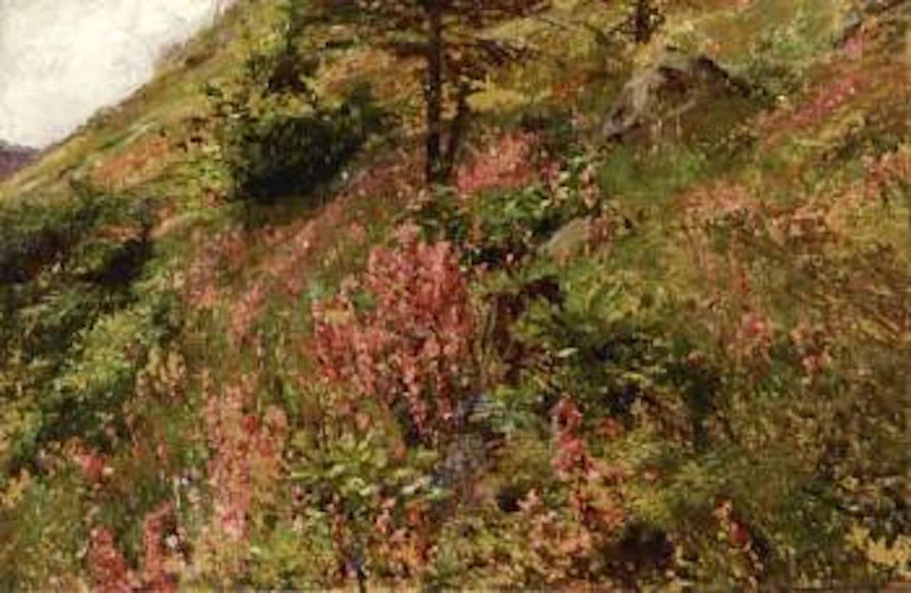 Mountain flowers by Olga Wisinger-Florian