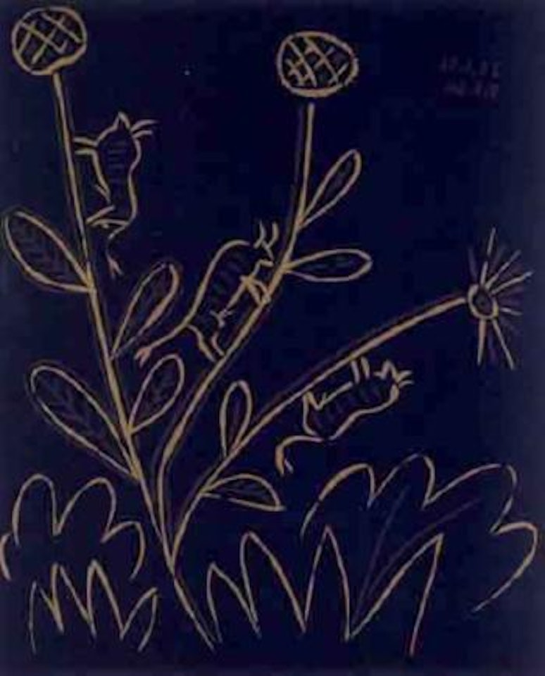 Plante aux toritos by Pablo Picasso