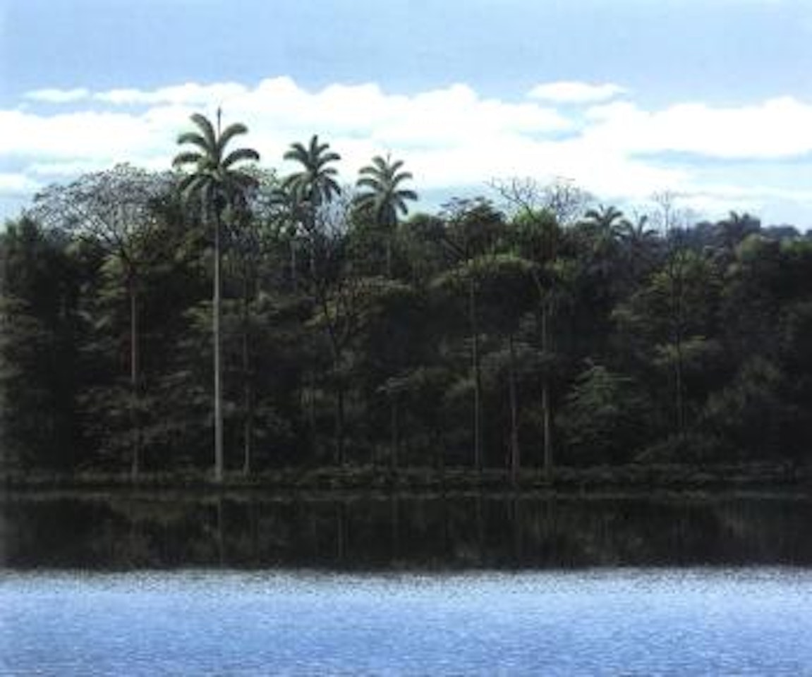 Forest by Tomas Sanchez