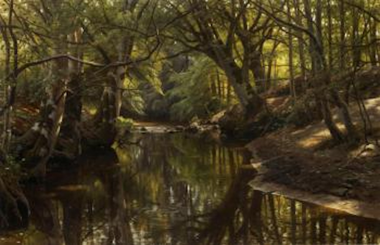 Forest stream by Peder Mork Monsted