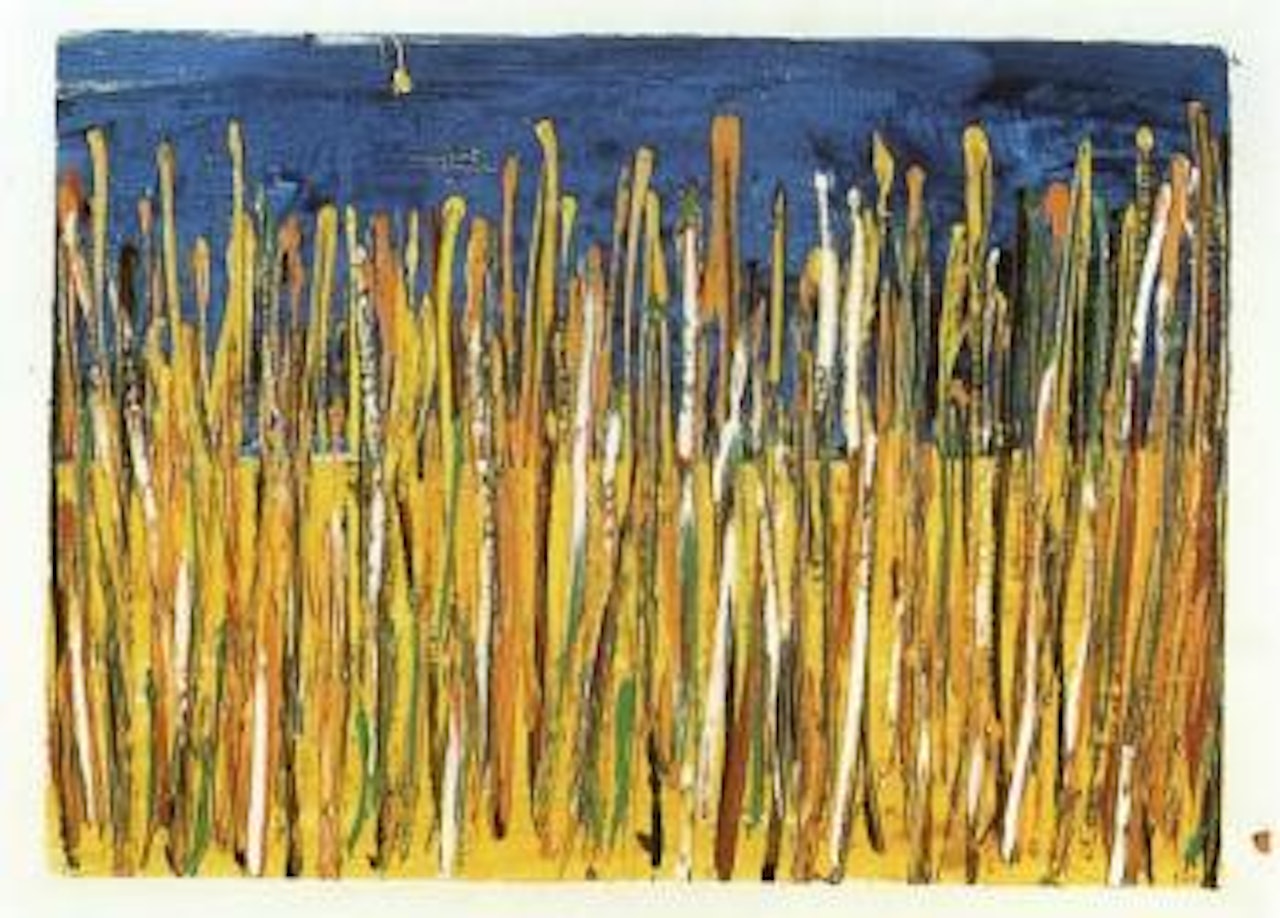 Corn field by Mario Schifano