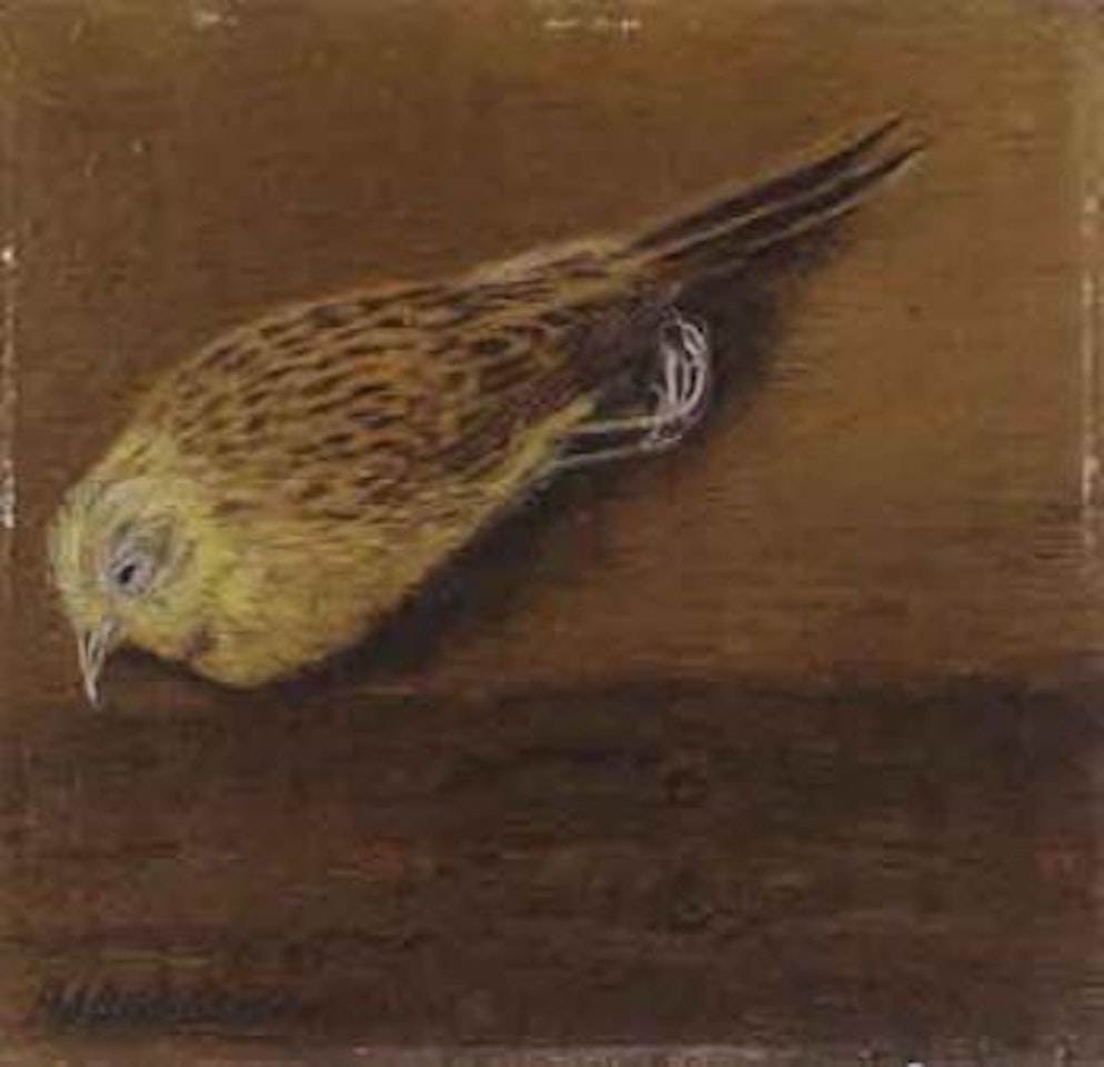 Dead siskin by Adolf Dietrich