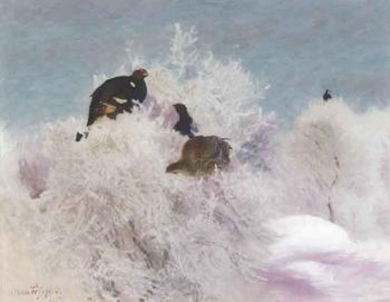 Sunny winter's day with black-grouse by Bruno Liljefors