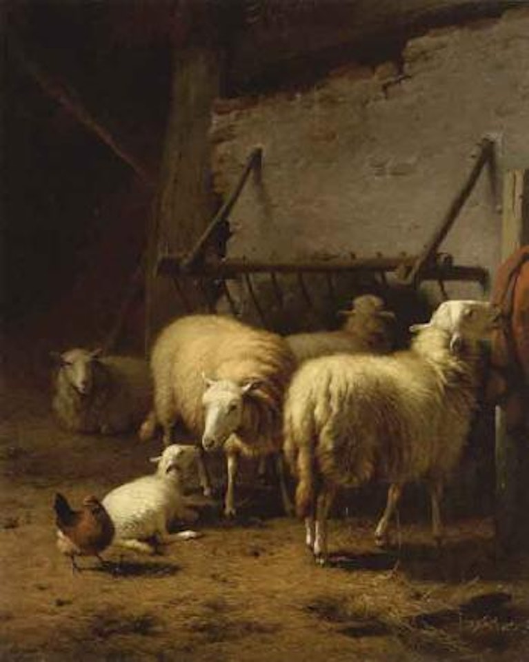 Barn interior with four sheep and a lamb by Eugène Joseph Verboeckhoven