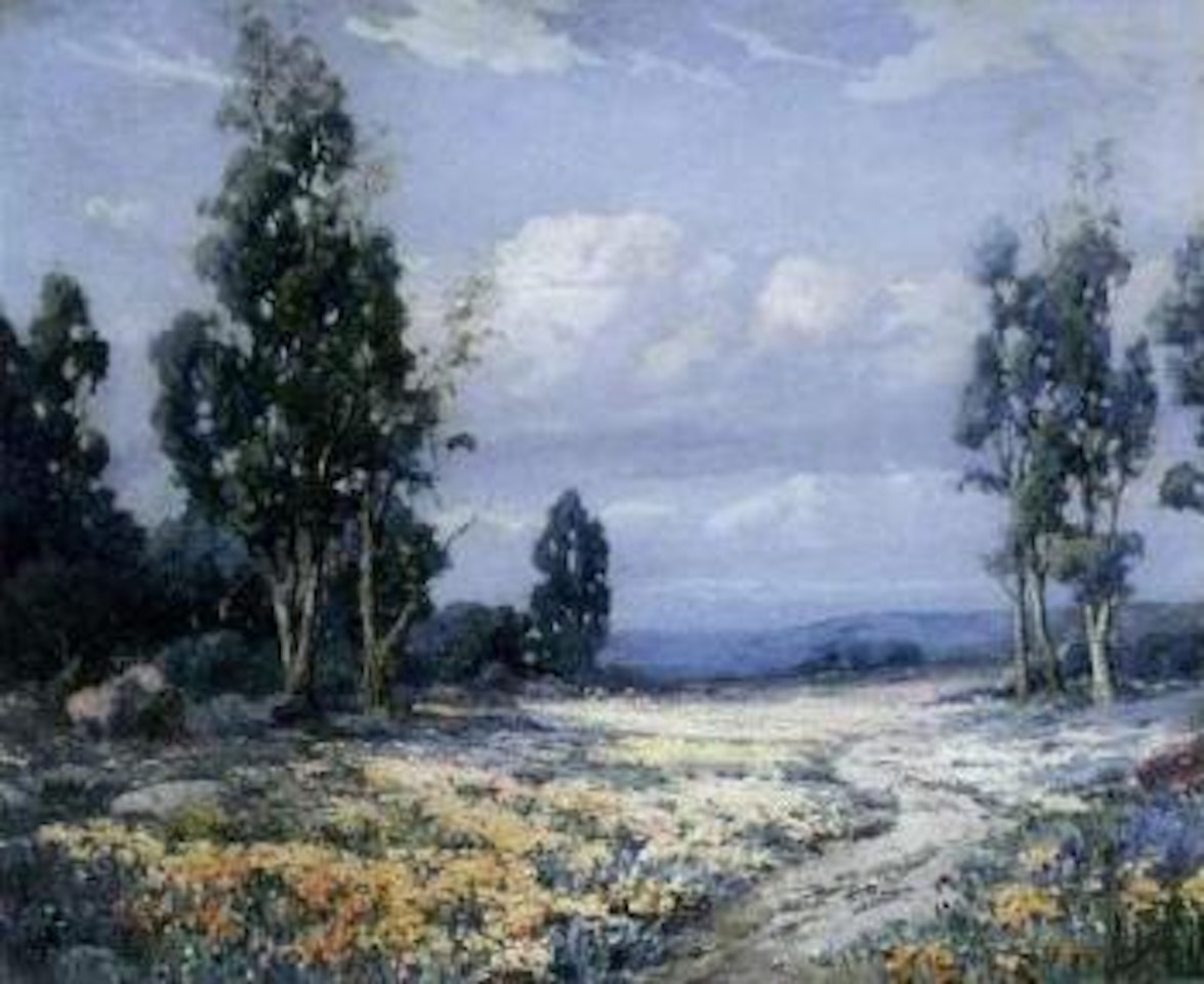 Poppies and eucalyptus by Angel Espoy
