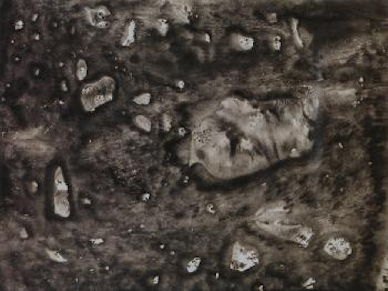 Pierres dans l'eau by Jean Dubuffet