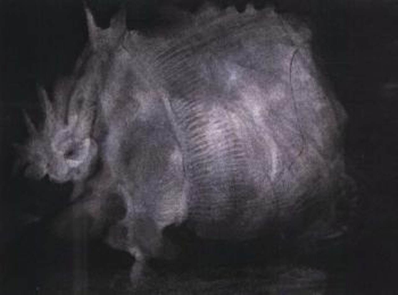 Rhinoceros by Sam Szafran
