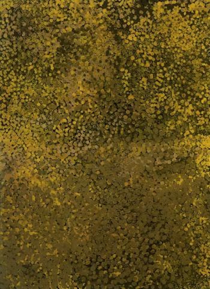 Untitled, alhalkere by Emily Kame Kngwarreye