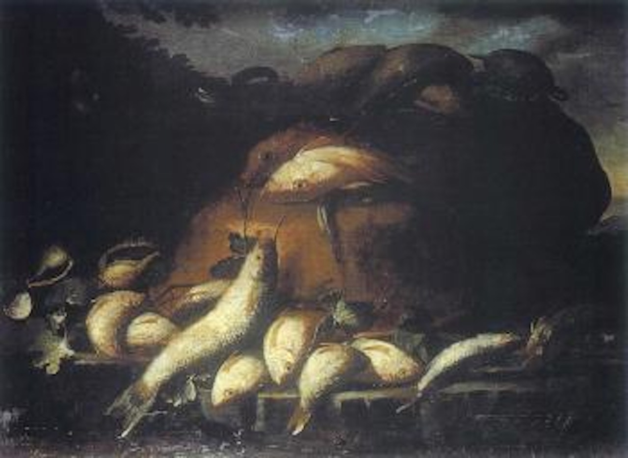 Still life with fish and turtle by Giuseppe Recco