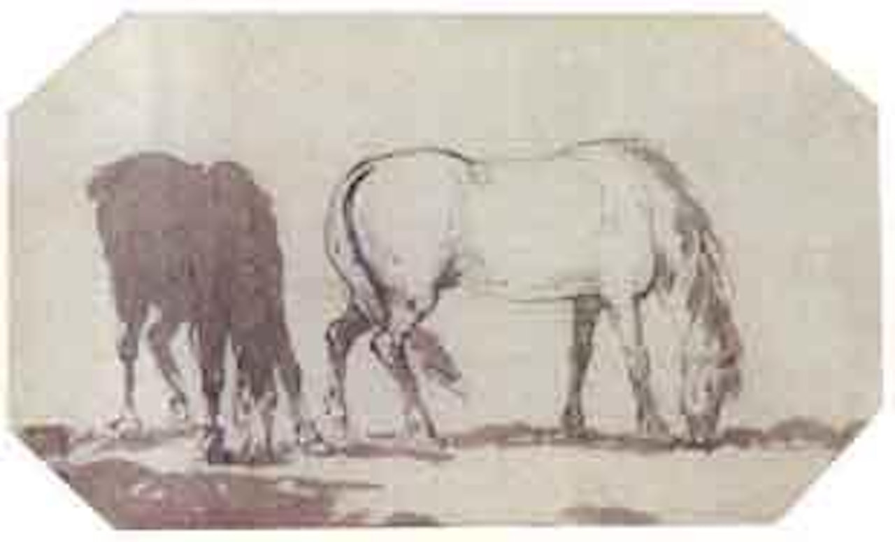 Horses grazing in a field by Thomas Rowlandson