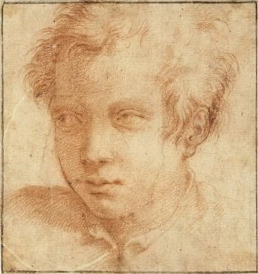 Portrait of a young man by Francesco Salviati