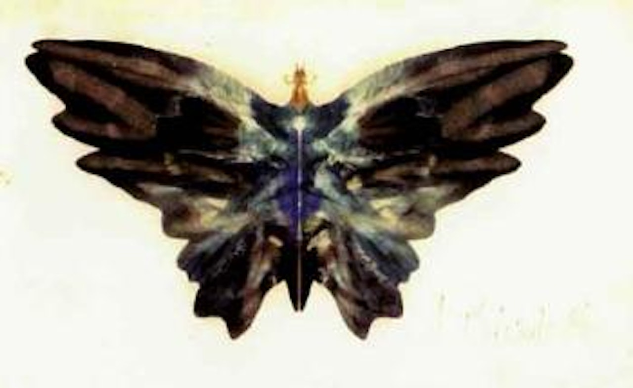 Butterfly by Albert Bierstadt