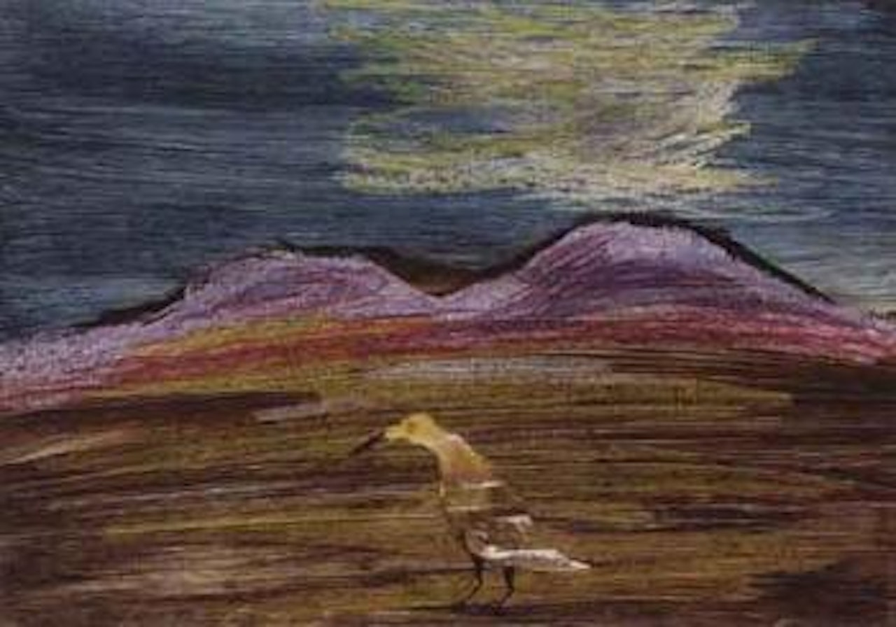 Bird and landscape by Sidney Nolan