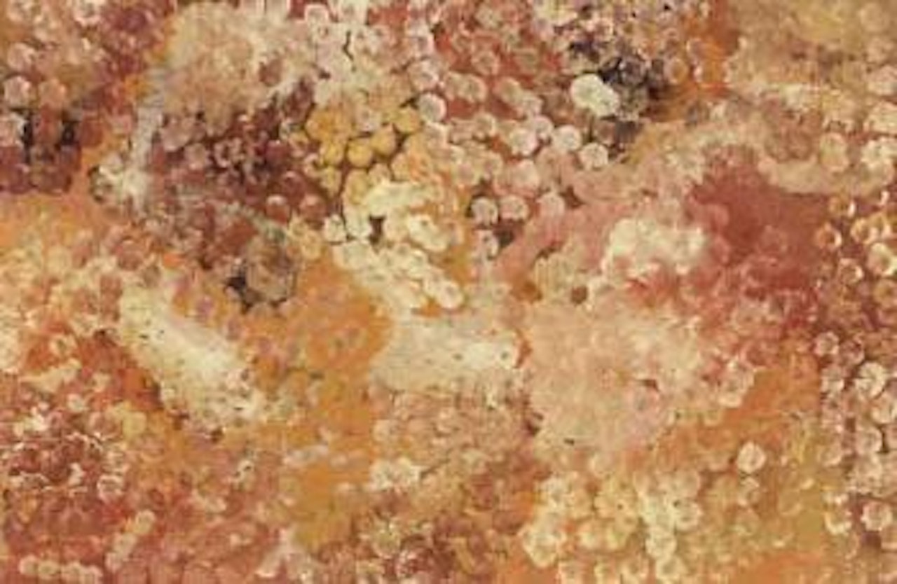 Untitled by Emily Kame Kngwarreye