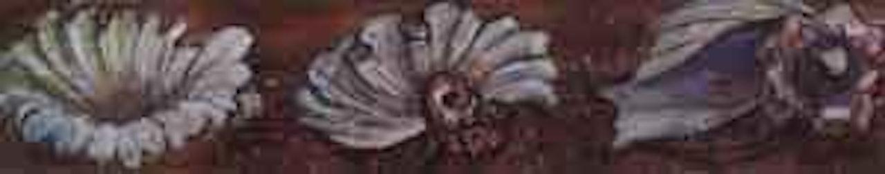 Trois coquillages by Jean Dufy