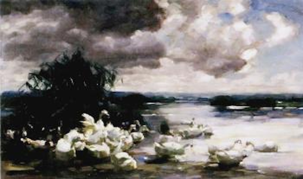 Ducks on water on sultry afternoon by Alexander Koester