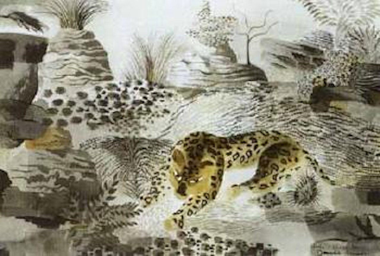 Leopard amongst boulders by Donald Stuart Leslie Friend