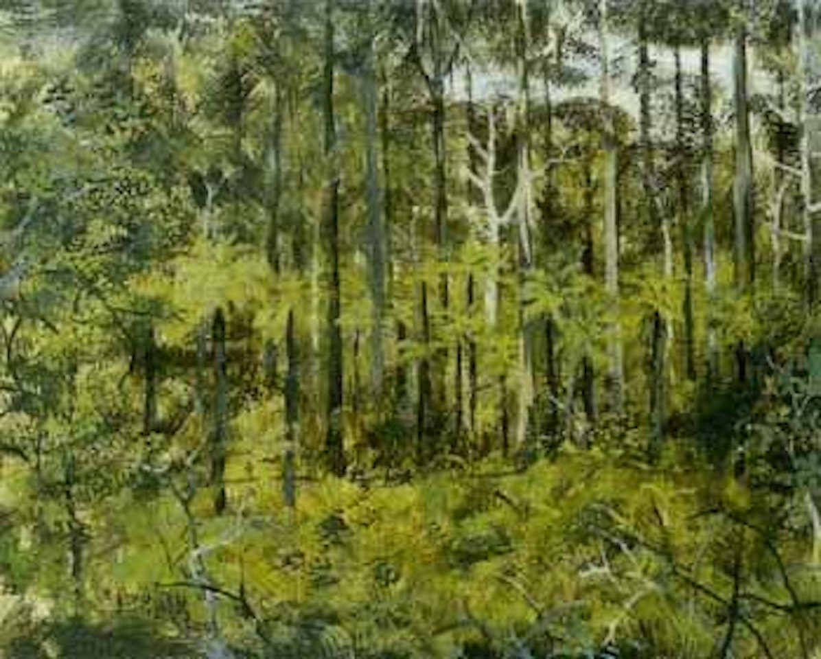 Ferntree gully by Ray Austin Crooke