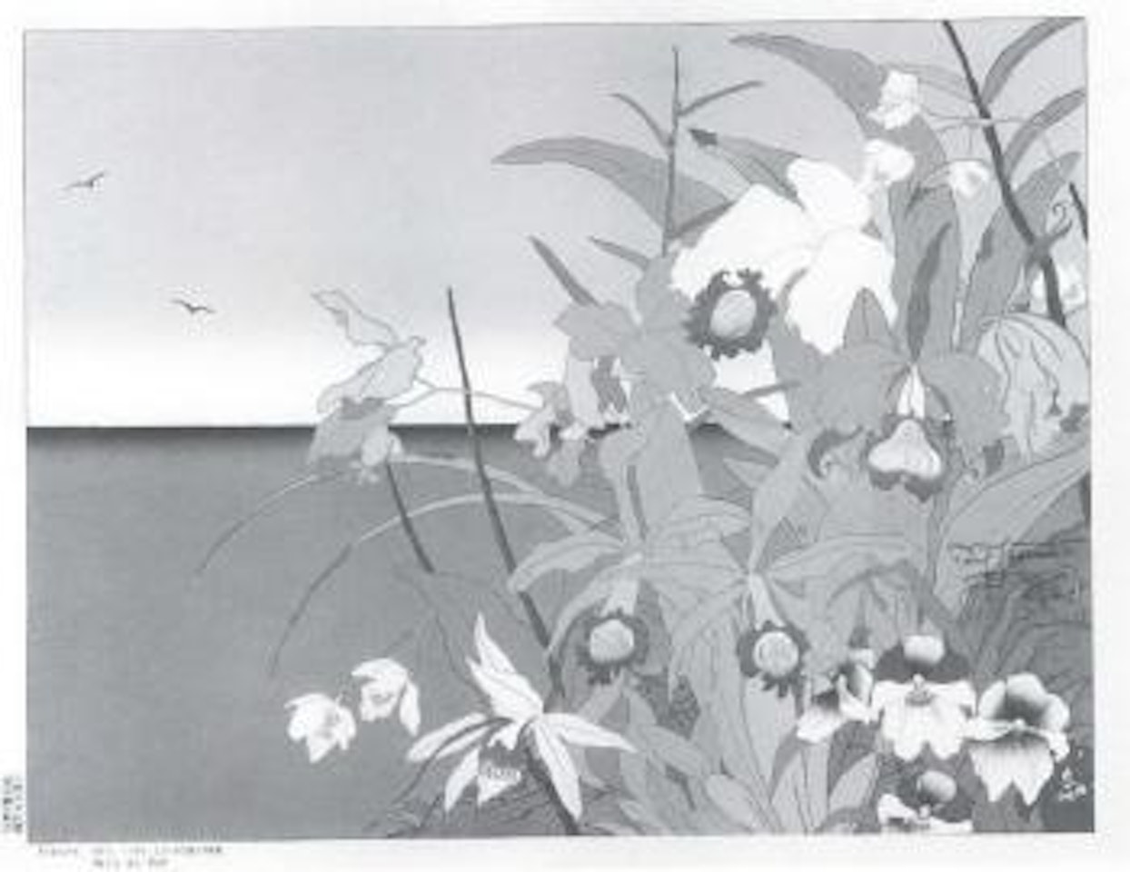 Flowers of the Distant Islands, South Seas by Paul Jacoulet