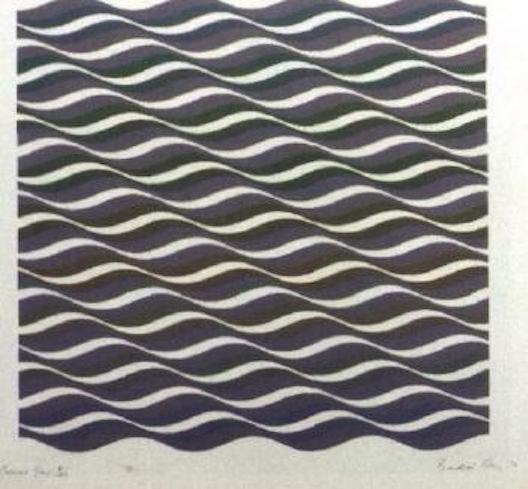 Coloured greys by Bridget Riley