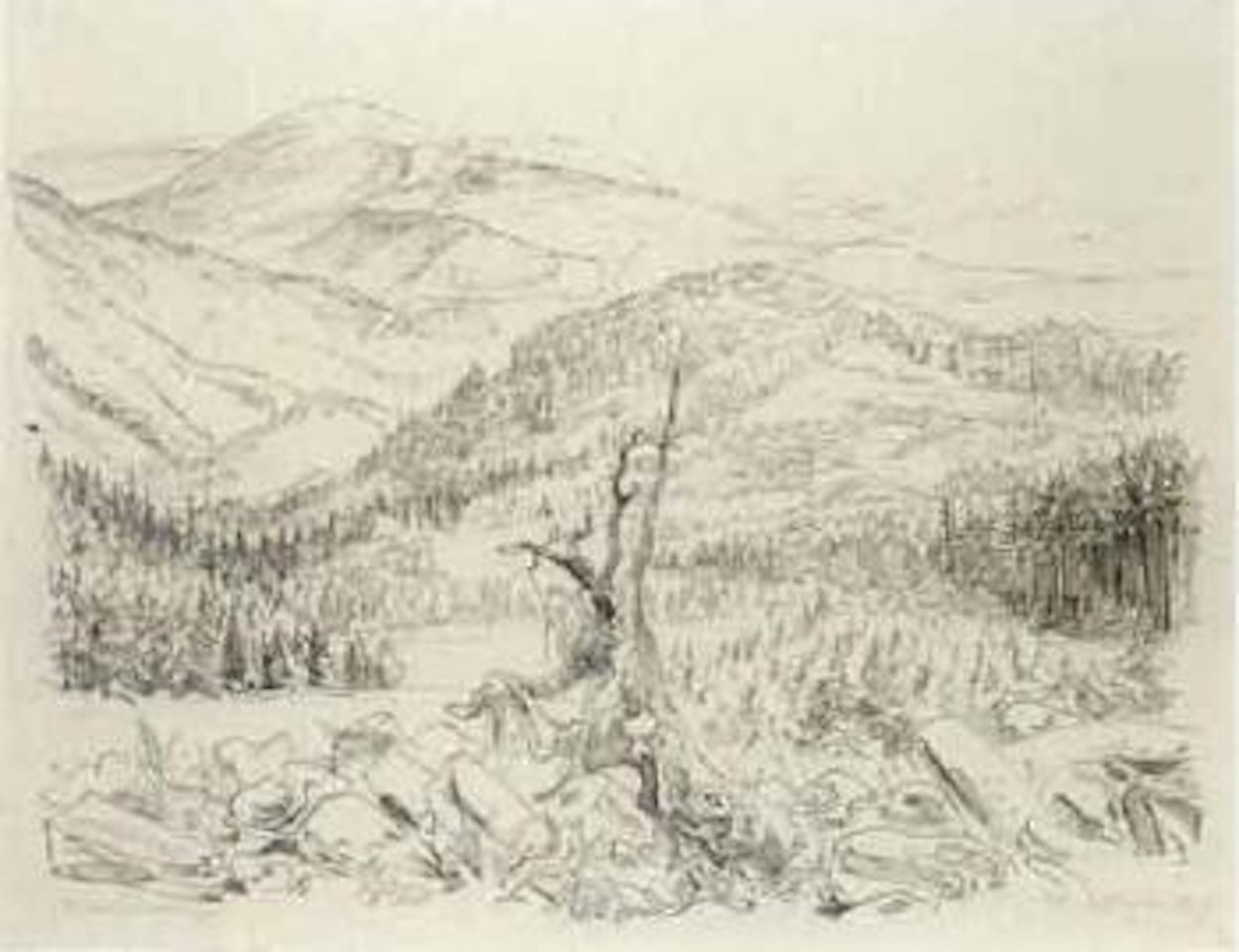 Danube Valley. Black forest slopes by Rudolf Schlichter