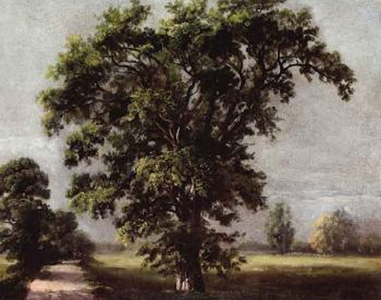 Large trees in a park, Dresden by Johan Christian Clausen Dahl