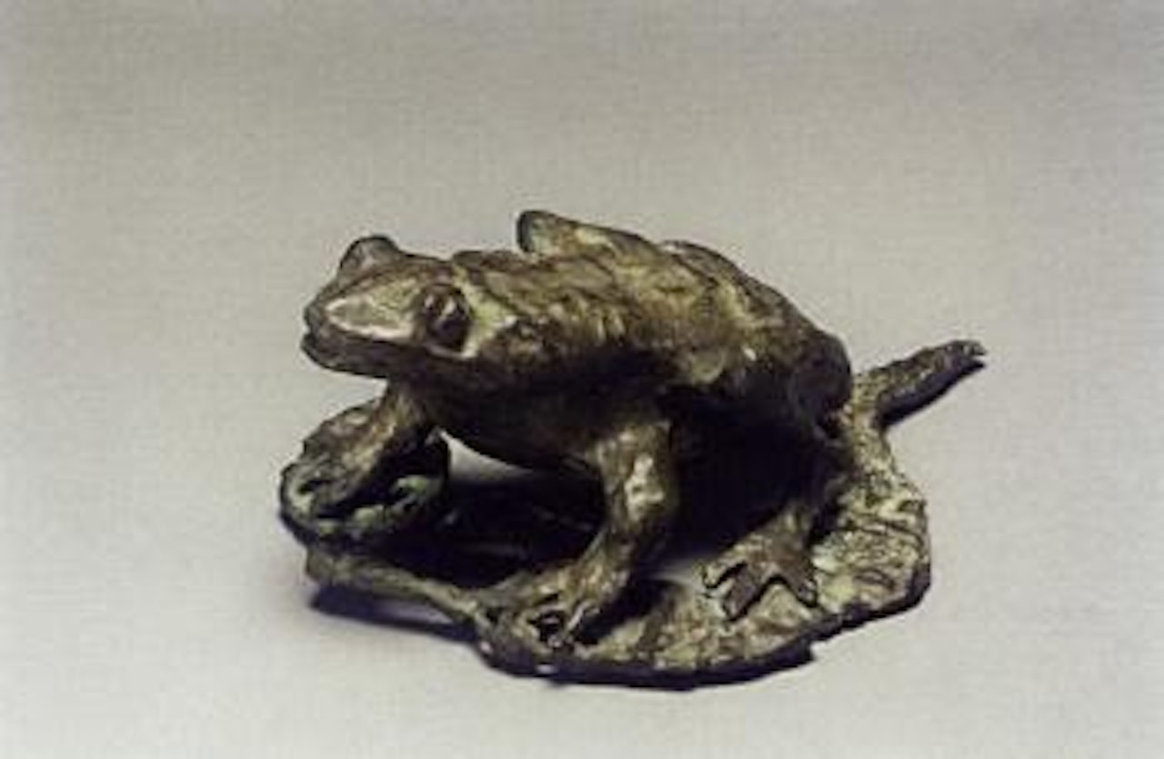 Grenouille sur une feuille by Diego Giacometti