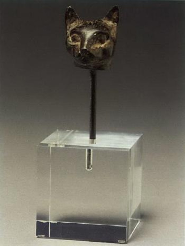 Tete de chat by Diego Giacometti