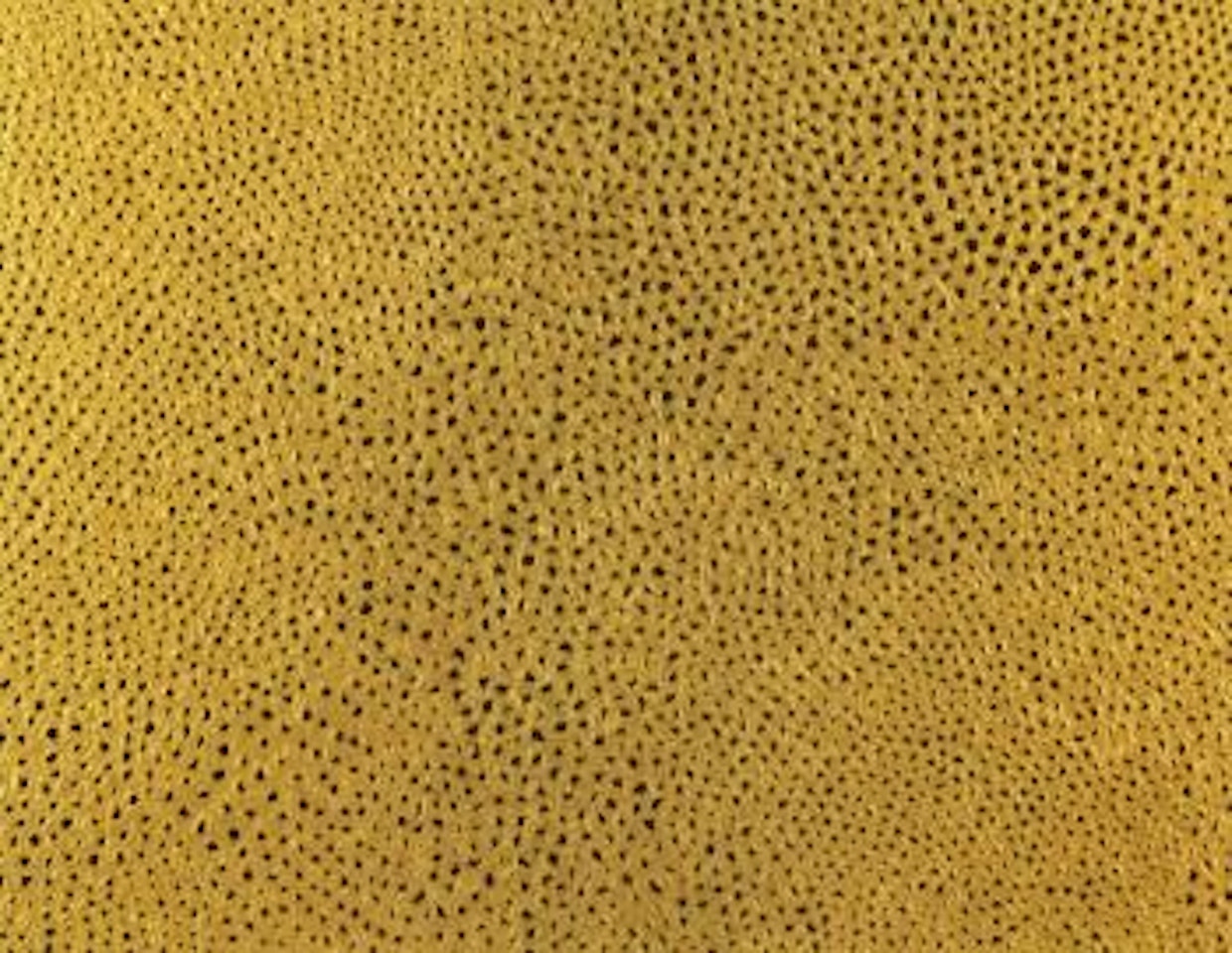 Infinity nets by Yayoi Kusama