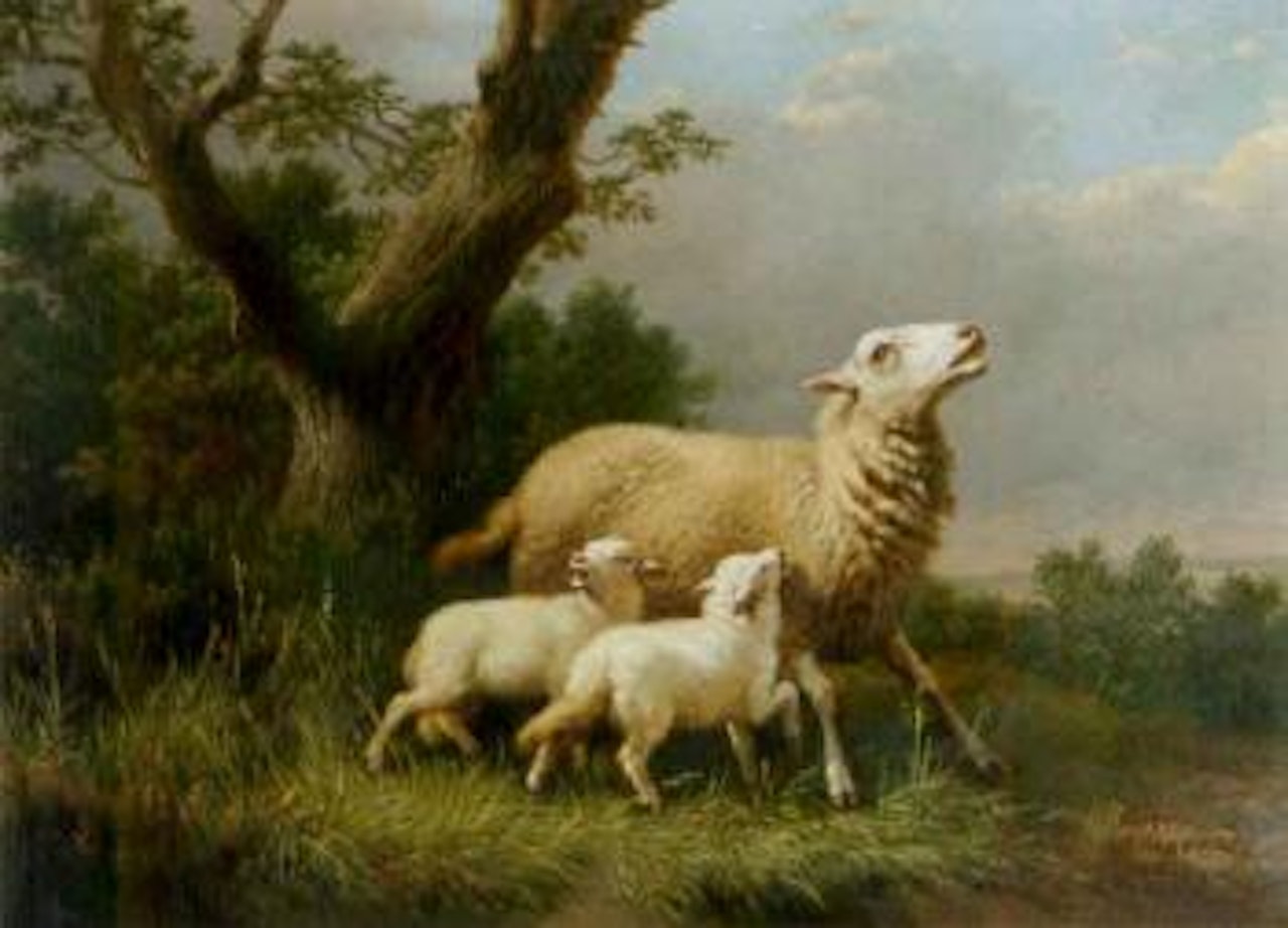 Brebie avec agneaux by Eugène Joseph Verboeckhoven