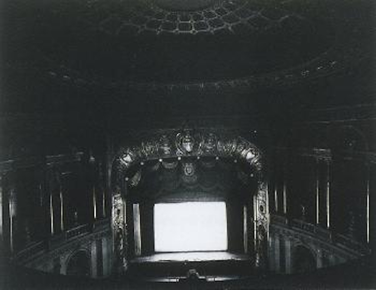 Palms, Michigan by Hiroshi Sugimoto