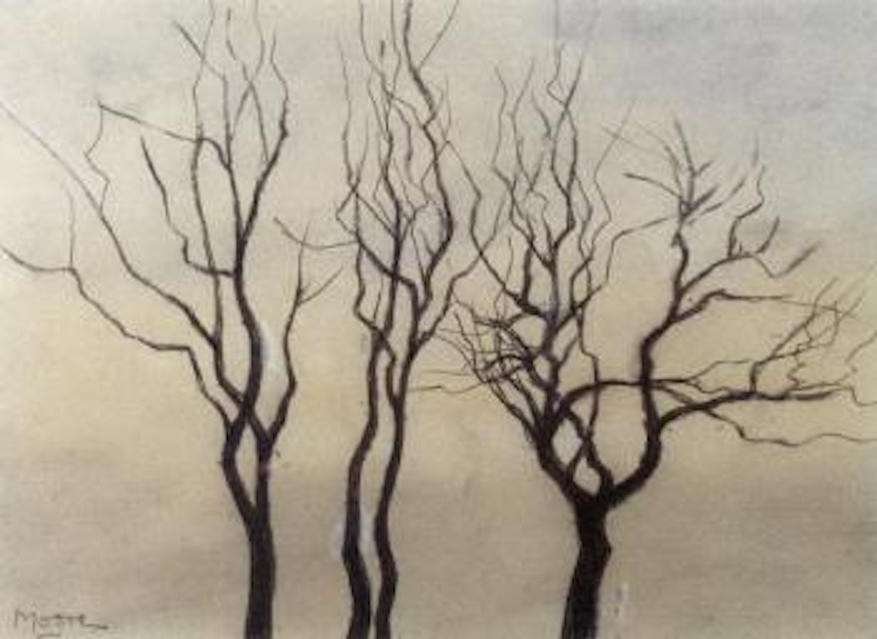 Three trees by Henry Moore