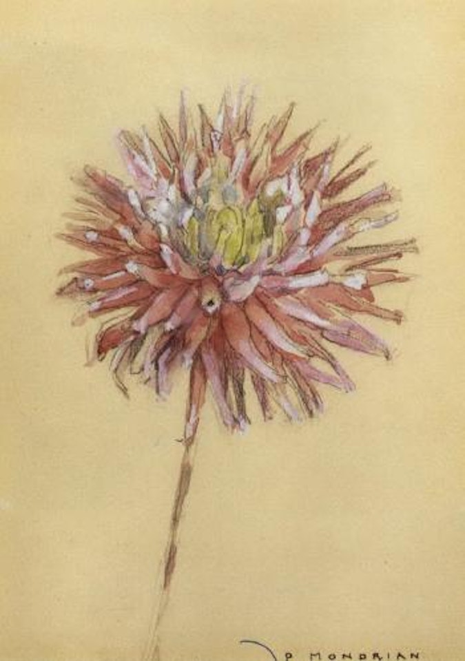 Dahlia by Piet Mondrian