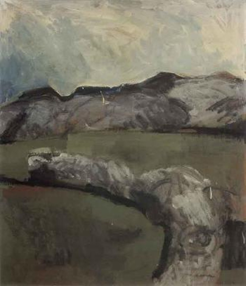 Northland landscape by Colin Mccahon
