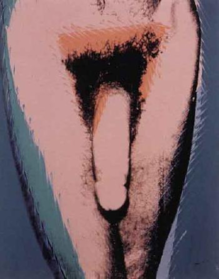 Penis by Andy Warhol