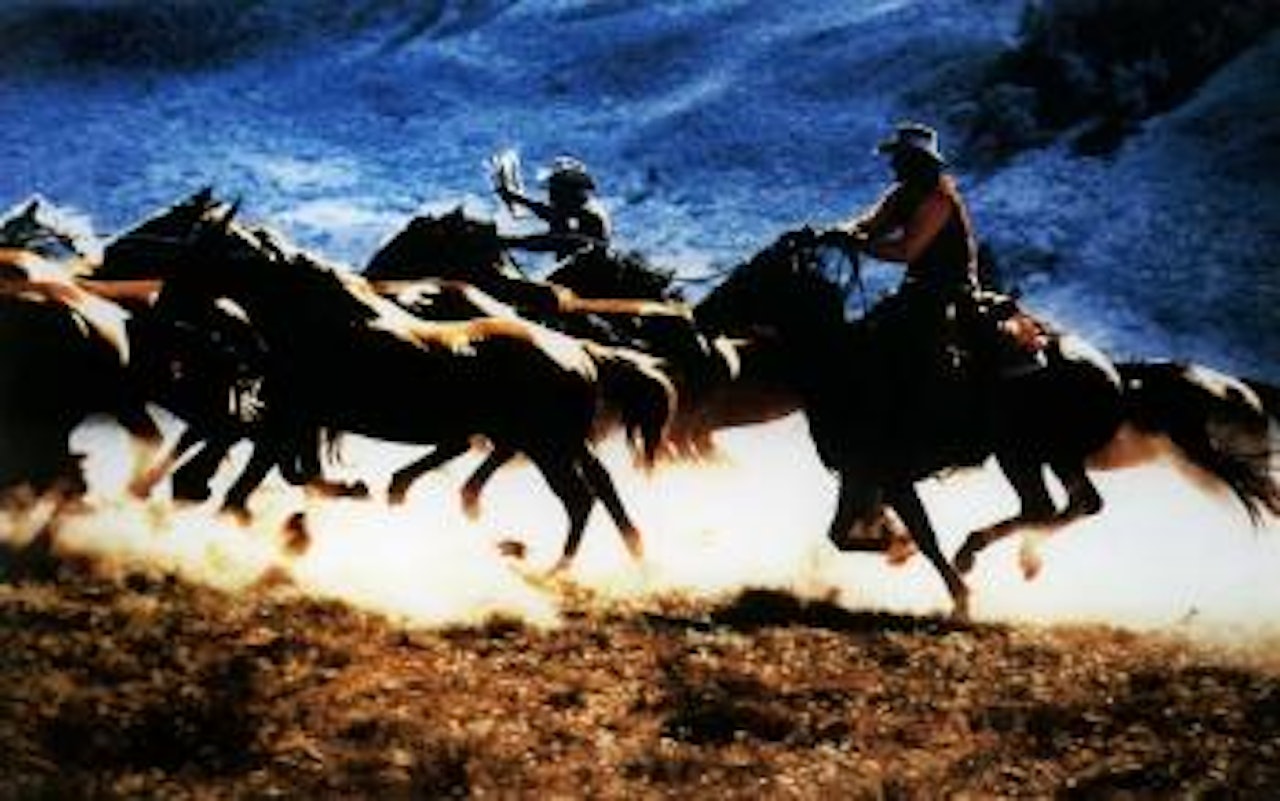 Untitled - cowboys by Richard Prince