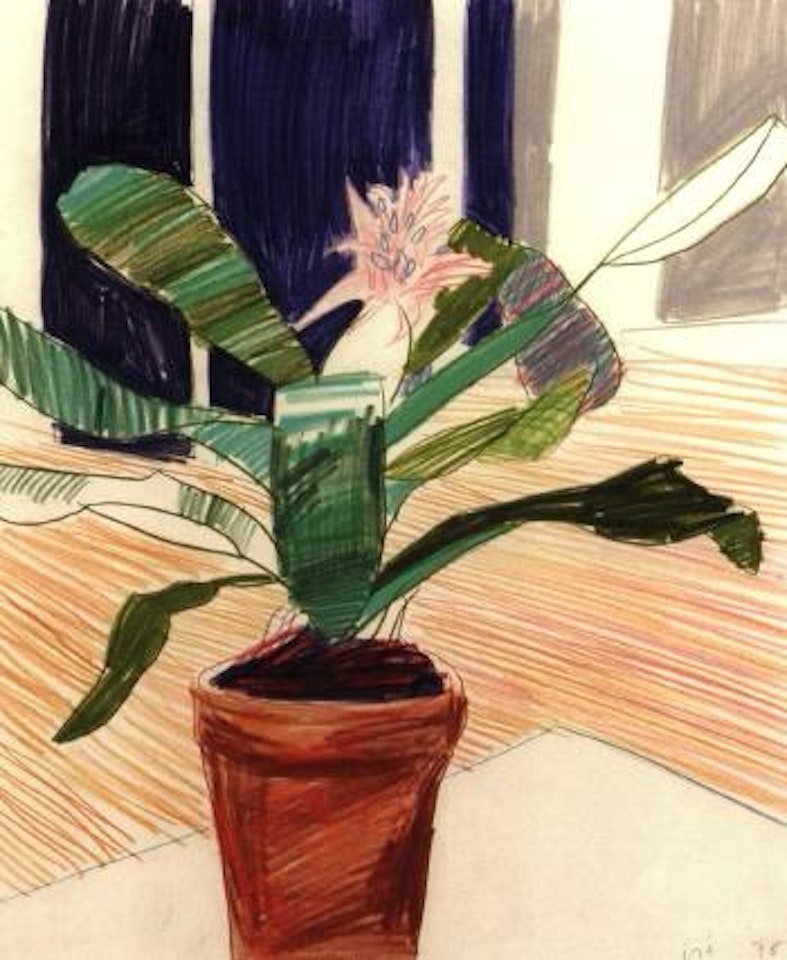 Flowers by David Hockney