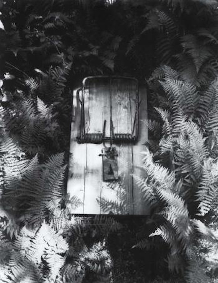 Untitled by Robert Gober
