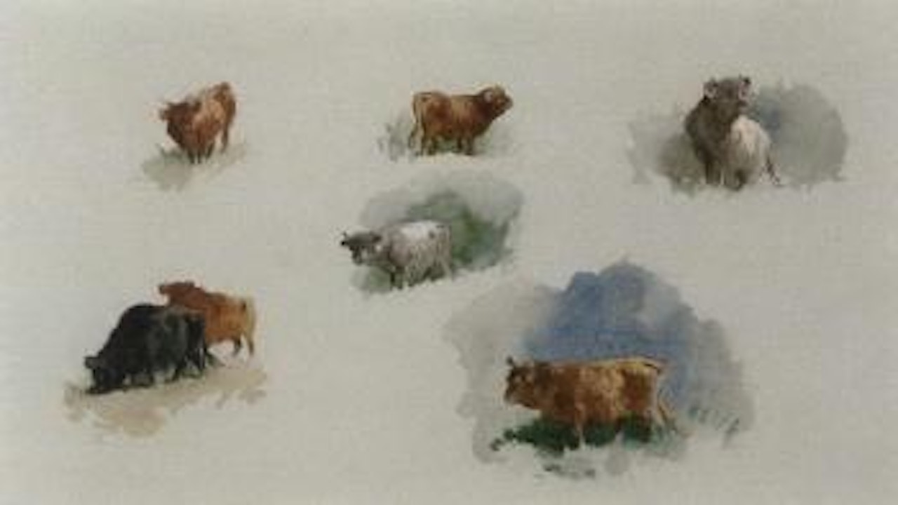 Studies of highland cattle by Archibald Thorburn
