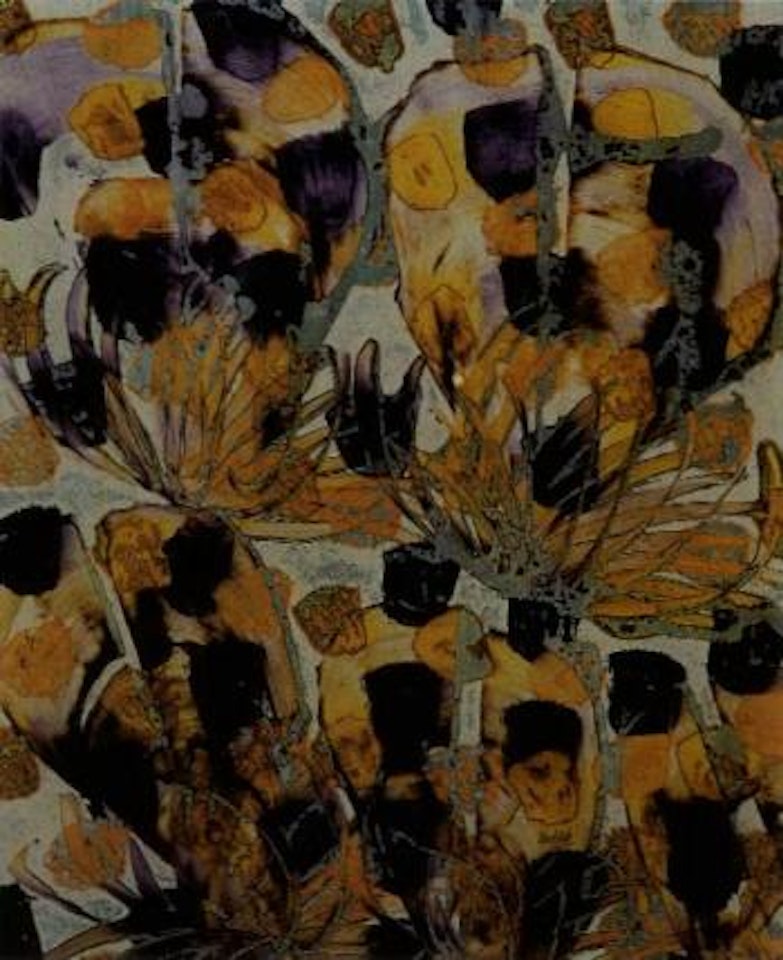 Desert flowers II. Desert flowers III by Sidney Nolan