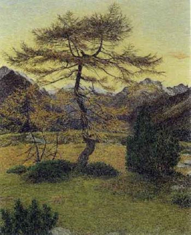 Larch in autumn landscape near Maloja with Piz Duan by Gottardo Segantini