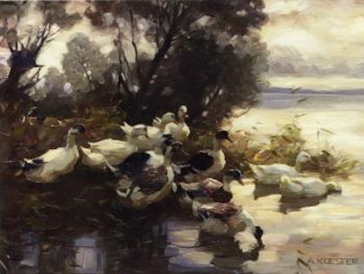 Elf enten - eleven ducks by Alexander Koester