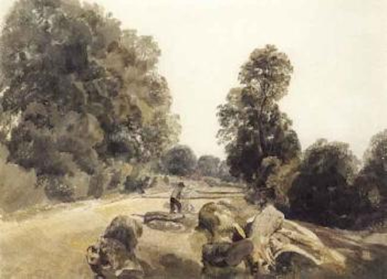 Hopton cliffs by Campbell Mellon