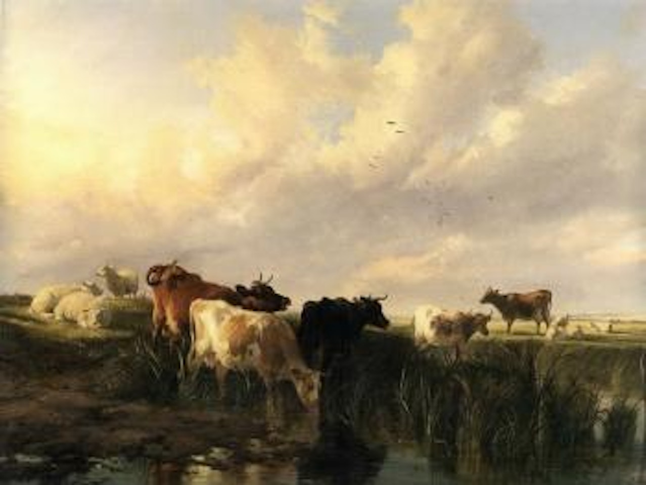 In the marshes by Thomas Sidney Cooper