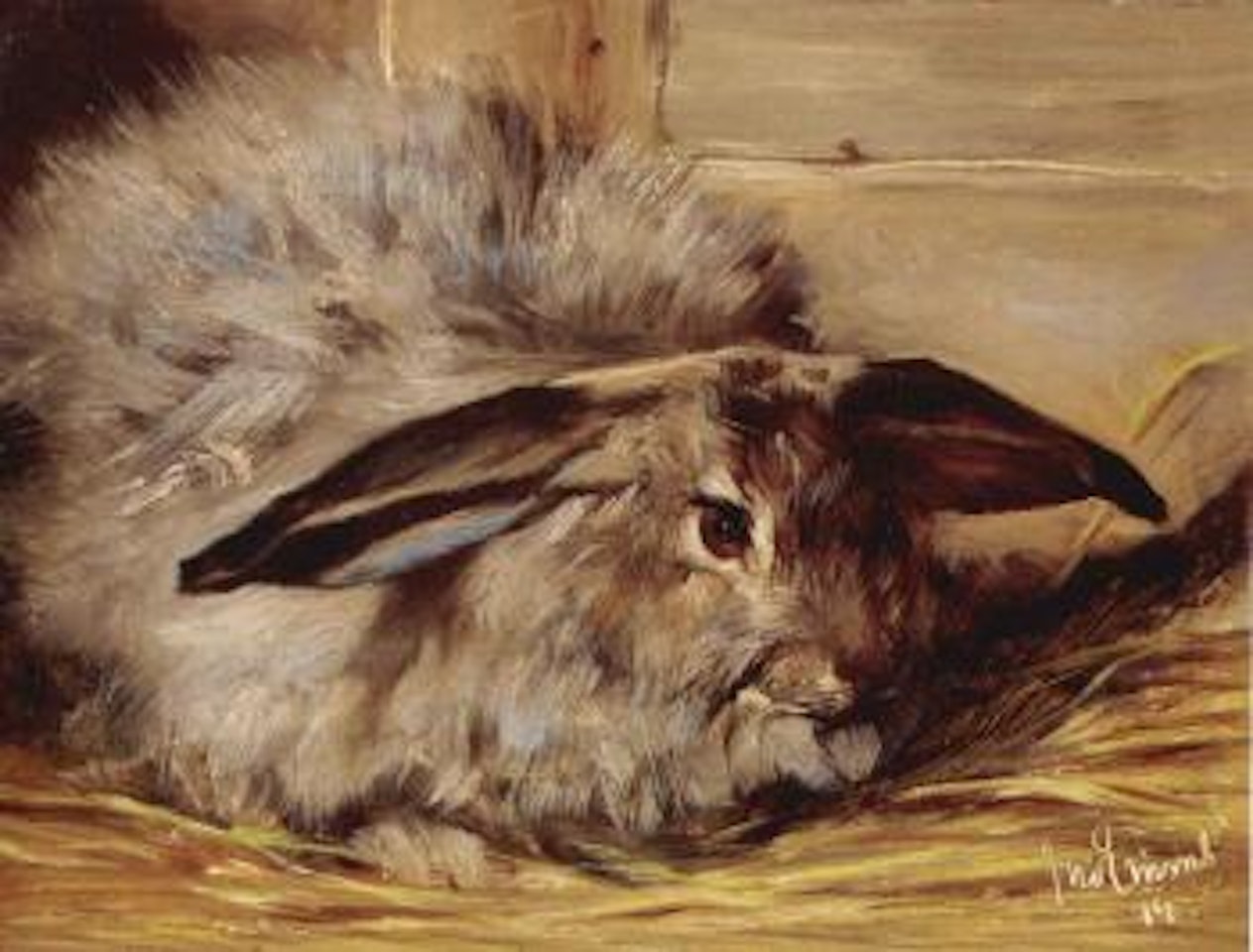 Rabbit by John Emms